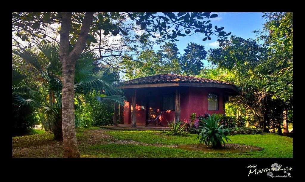 Hotel Mauna Loa Pinilla Pokój zdjęcie
