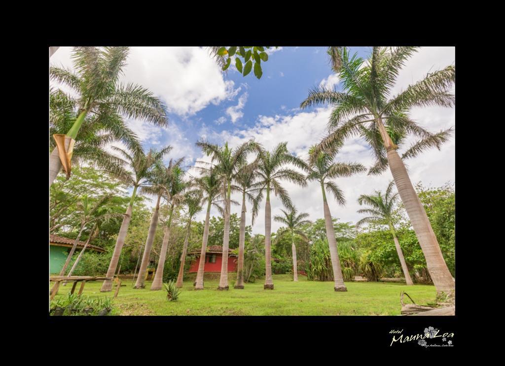 Hotel Mauna Loa Pinilla Zewnętrze zdjęcie