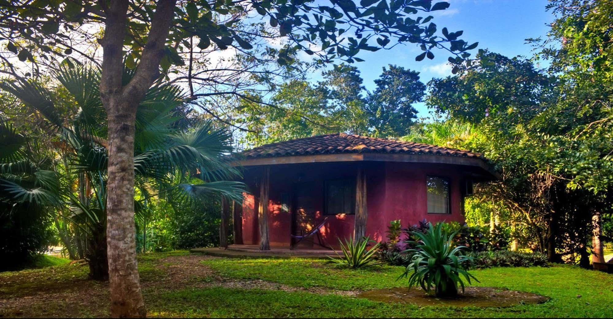 Hotel Mauna Loa Pinilla Zewnętrze zdjęcie